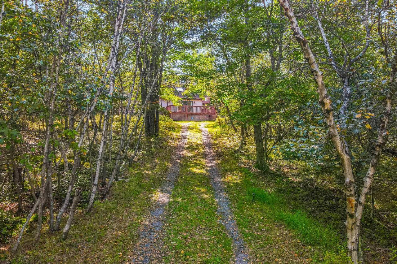 House In The Woods Βίλα Albrightsville Εξωτερικό φωτογραφία
